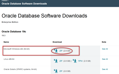 Oracle数据库安装教程--Oracle19c DataBase「建议收藏」