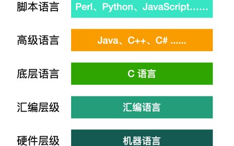 C 语言基础，来喽