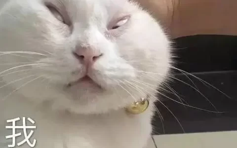 入职避坑指南（杭州）[通俗易懂]