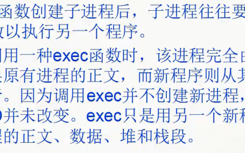 系统编程-进程-exec系列函数超级详解(带各种实操代码)