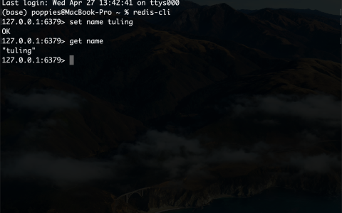 Redis 数据库