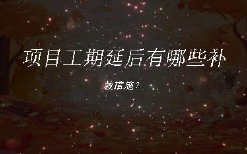 项目工期延后有哪些补救措施？