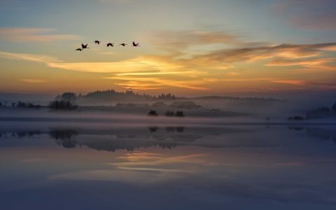 深度学习算法 之DCGAN（写得不系统，后期再总结，大家可简单阅览一下）